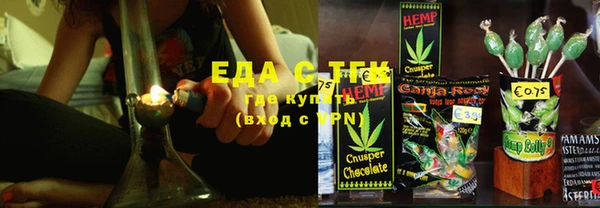 хмурый Абаза