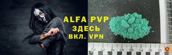 хмурый Абаза