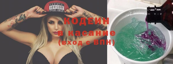 хмурый Абаза