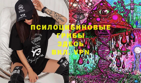 хмурый Абаза
