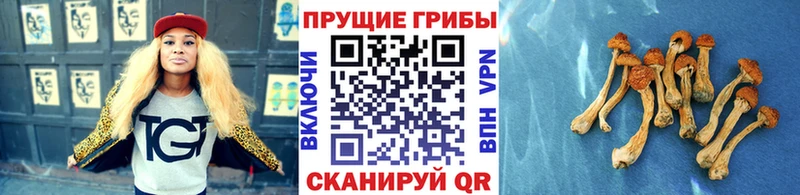 Галлюциногенные грибы мицелий  hydra рабочий сайт  Смоленск 